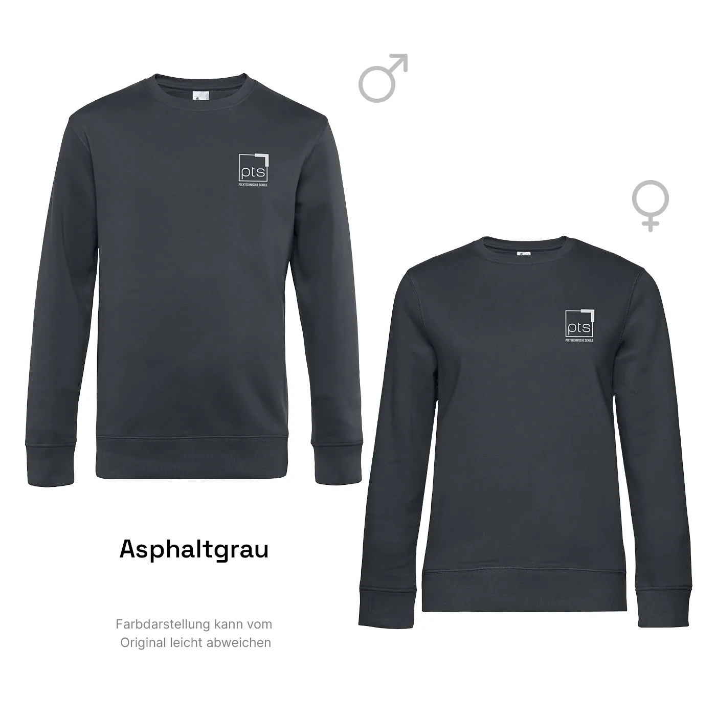 Sweater PTS-Logo weiß klein - asphaltgrau