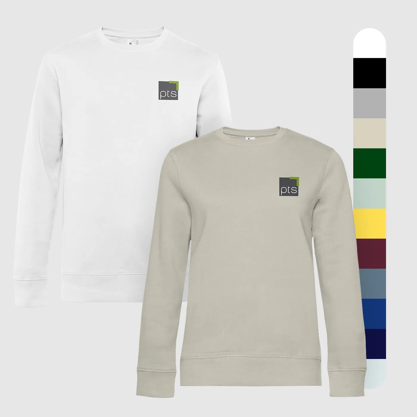 Sweater PTS-Logo färbig klein